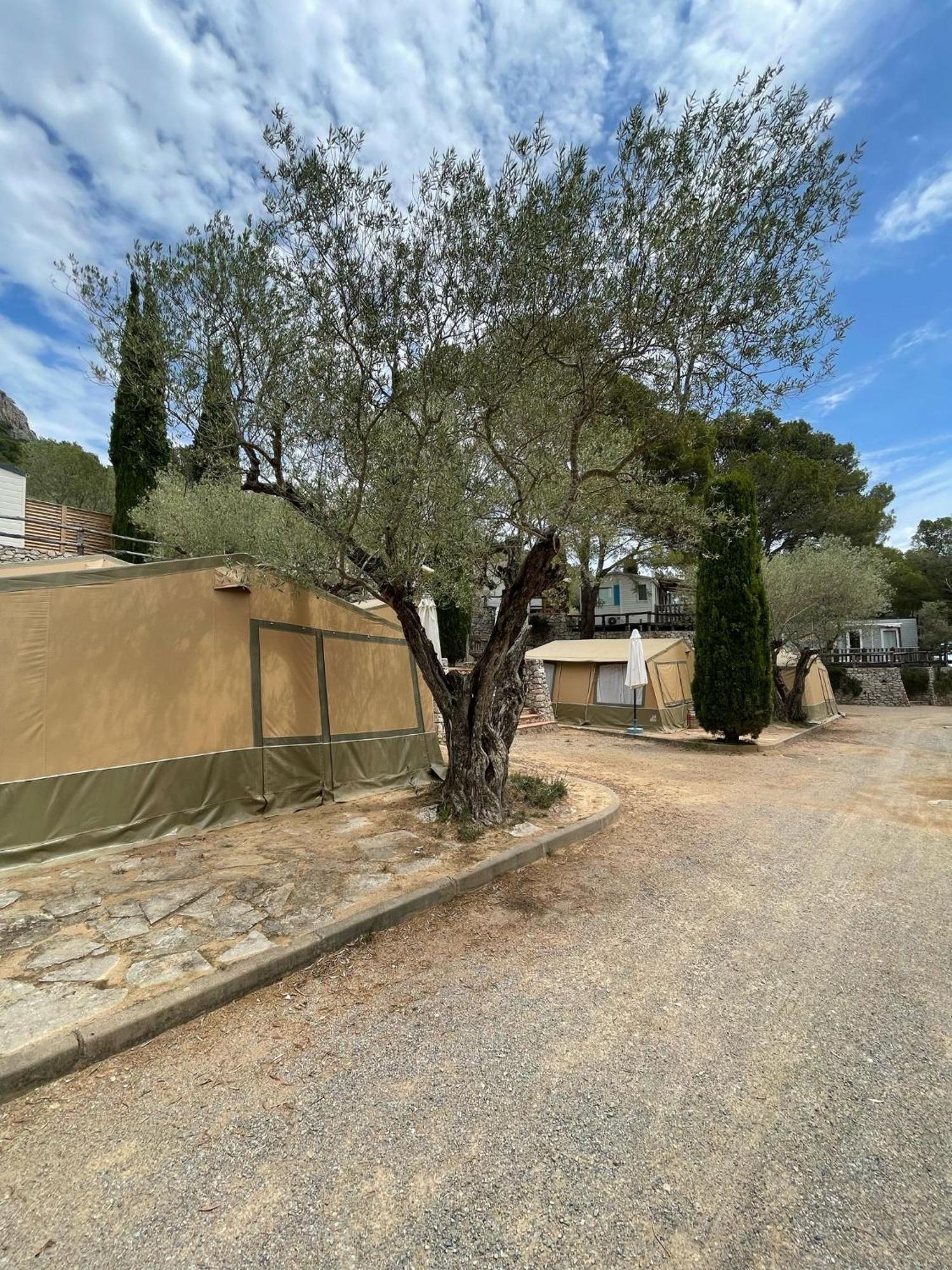 Camping Castell Montgri **** L'Estartit Eksteriør billede